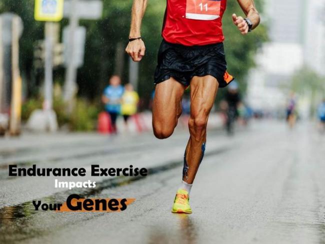 跑步改變基因增加肌肉效率