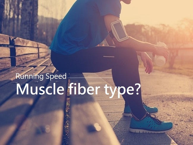 肌纖維類型與跑速