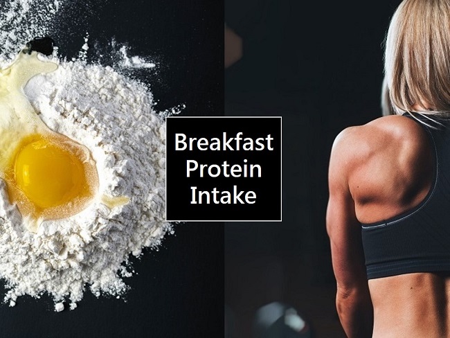 早餐攝取蛋白質的重要