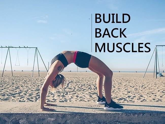 打造背部肌肉