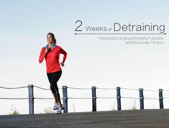 停止跑步2週對心肺肌肉的影響