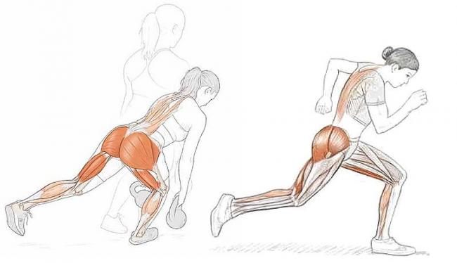 下肢訓練髖主導2招   強化臀肌與大腿後側、降低運動傷害
