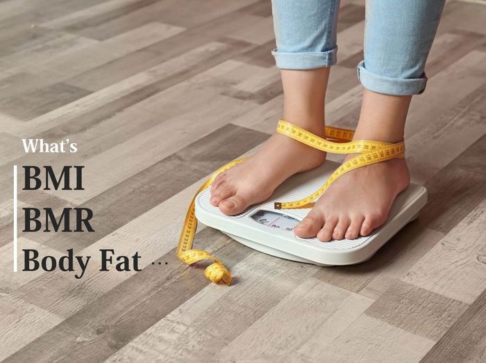 體脂、BMI等身體指數